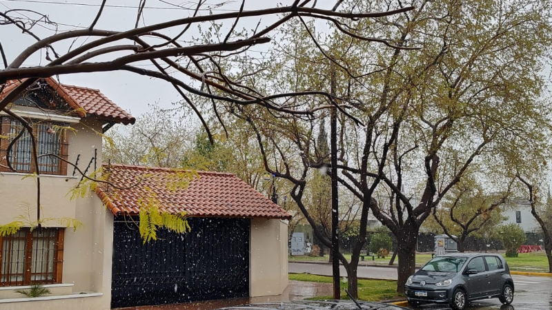 Imagenes de postal: nevadas y lluvias marcaron el domingo en Mendoza